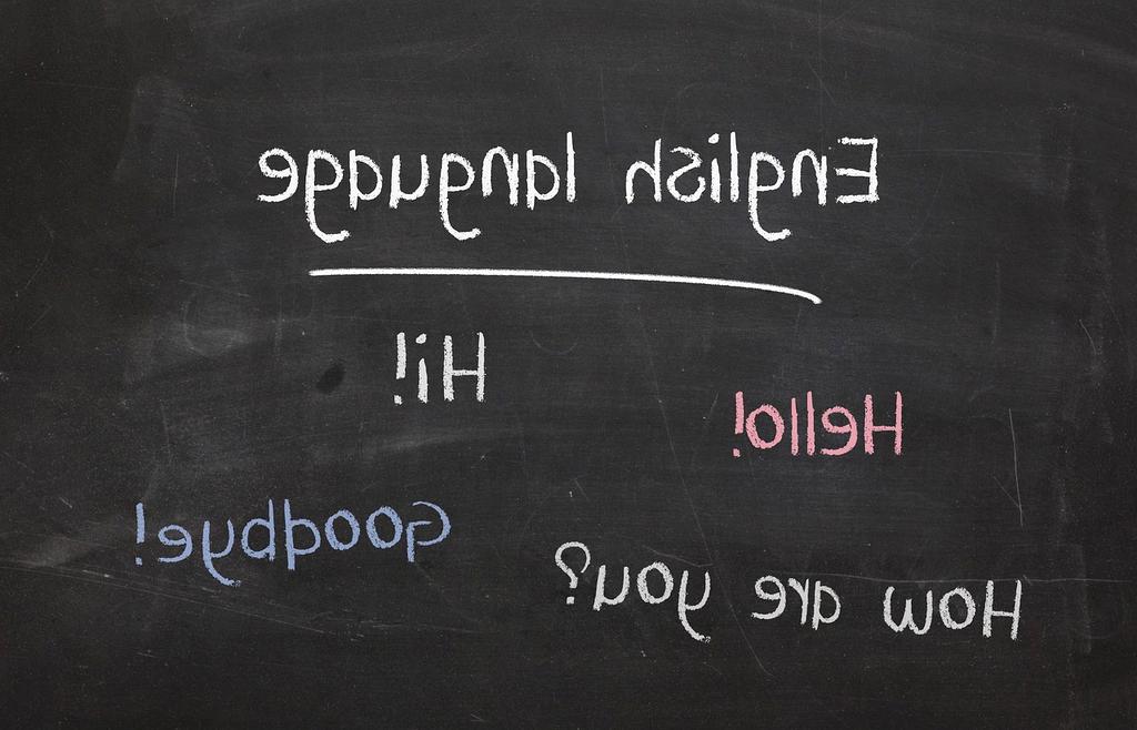 Lighting Optimization Course