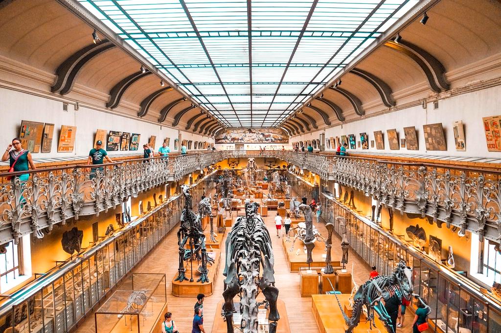 Alessandro Rossi, Tech Startup Founder from Milan